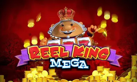 vs555 Mega Reels